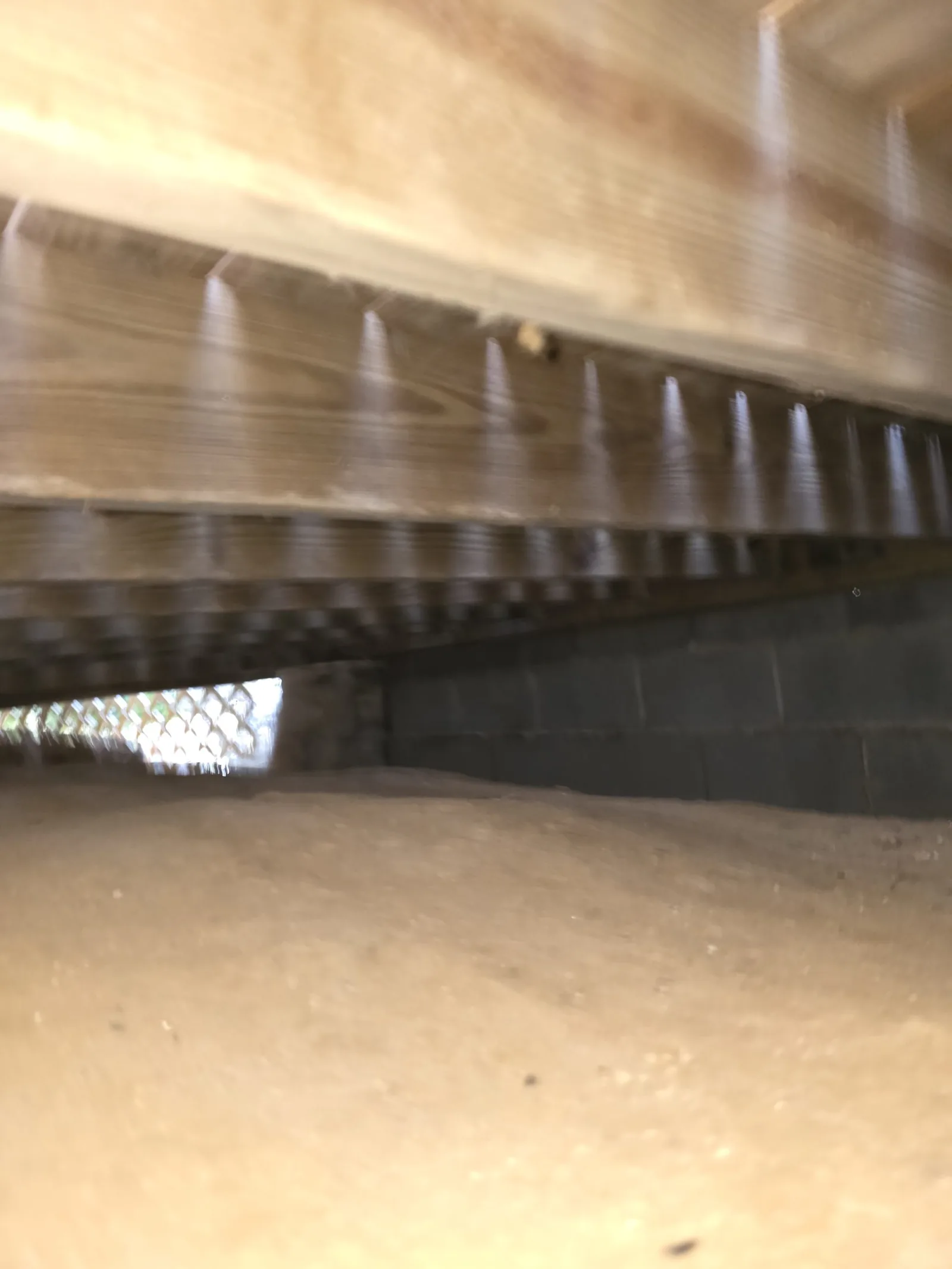 Pest Marshals on a Western NC service call
