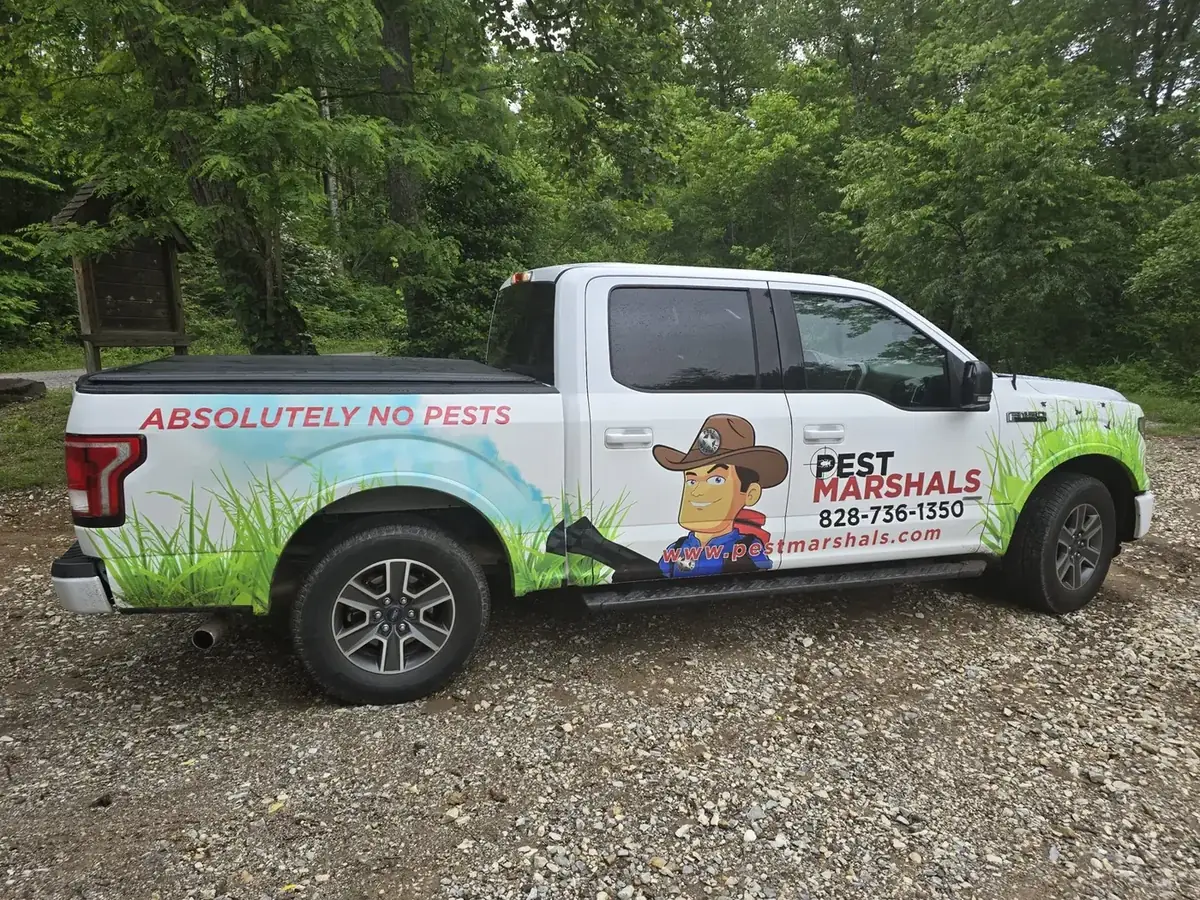 Pest inspection work at a Western North Carolina home by Pest Marshals