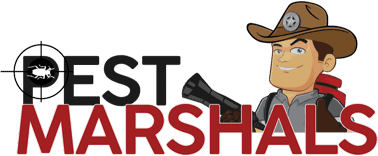 Pest Marshals of Asheville and WNC