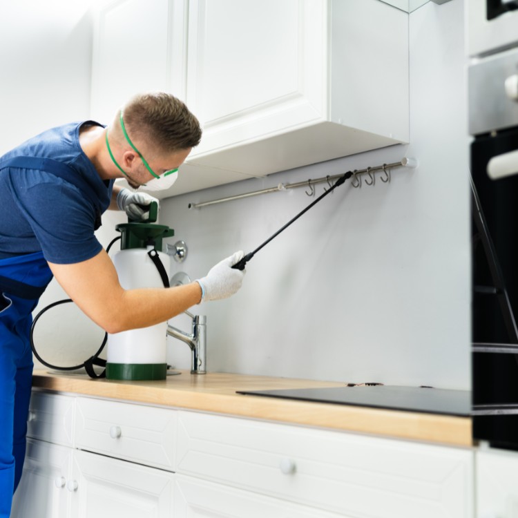 Just another WordPress site