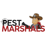 Just another WordPress site